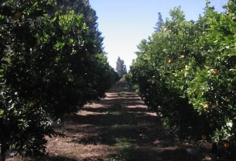 צימר Happy Lands Farmstay