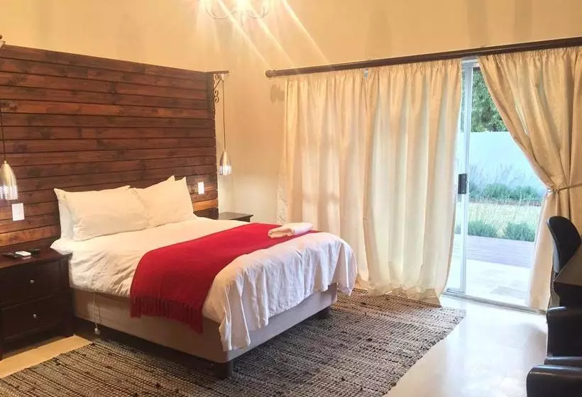 Tranquil House B&b @ 1 College Ave
