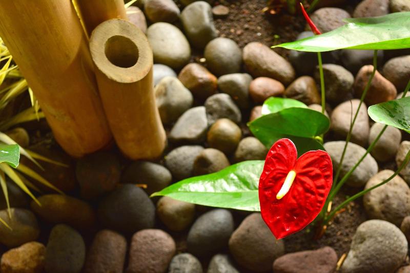 호텔 Villas Layfer