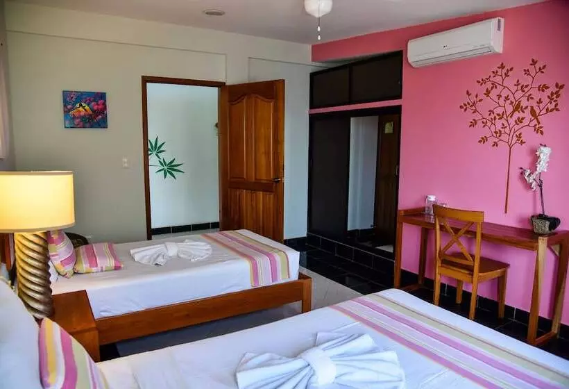 هاستل Akumal