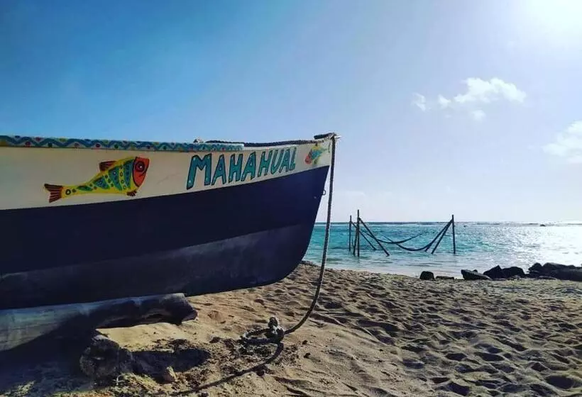 ユースホステル Jardin Mahahual