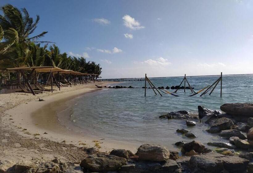 فندق صغير Jardin Mahahual