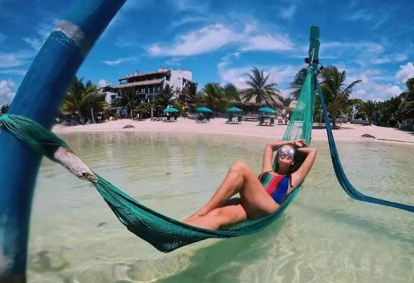 ユースホステル Jardin Mahahual