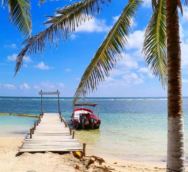 فندق صغير Jardin Mahahual