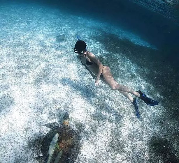 ユースホステル Jardin Mahahual