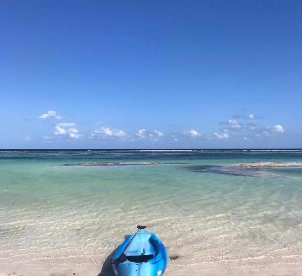 فندق صغير Jardin Mahahual