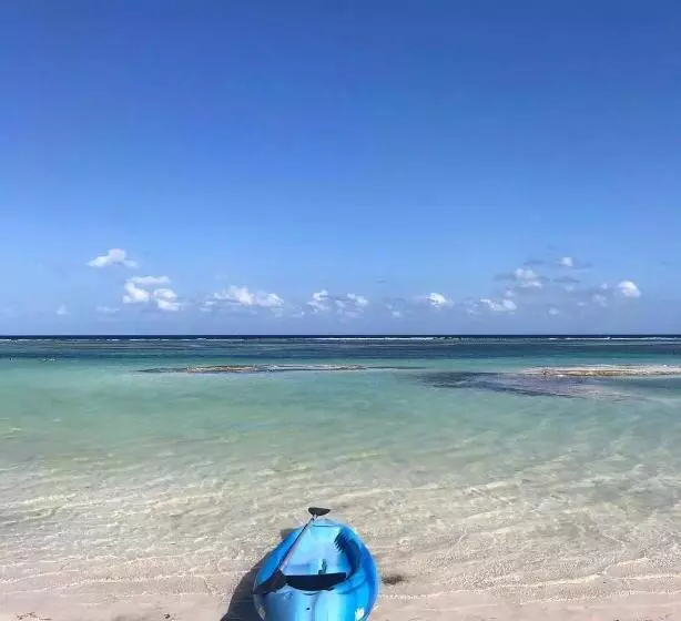 ユースホステル Jardin Mahahual