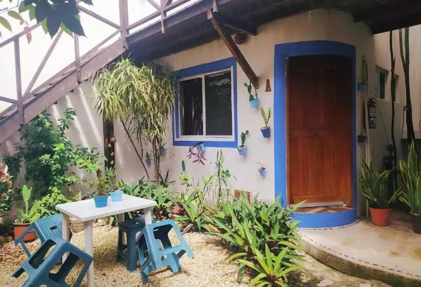 ユースホステル Jardin Mahahual