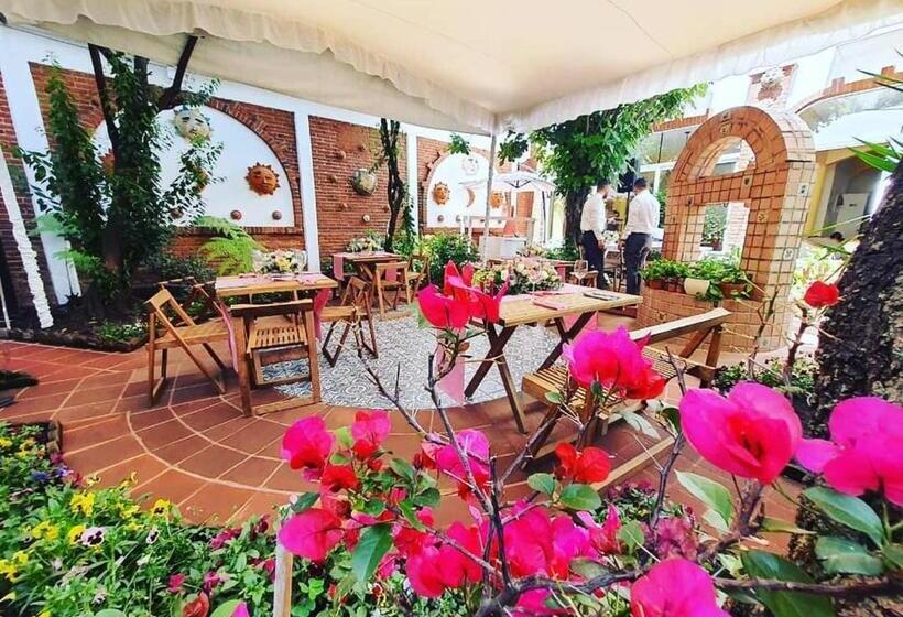 هتل Bio Boutique Metepec