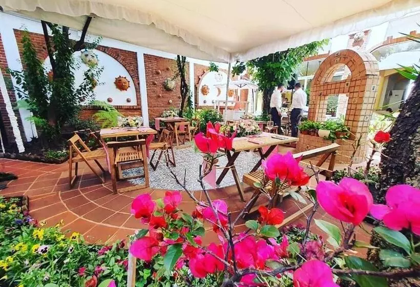هتل Bio Boutique Metepec