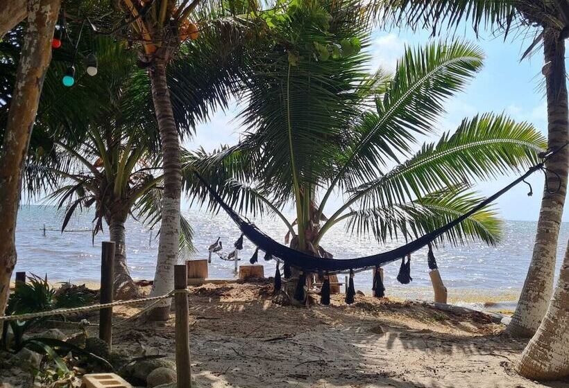 Hotelli Maya Luna Adults Only