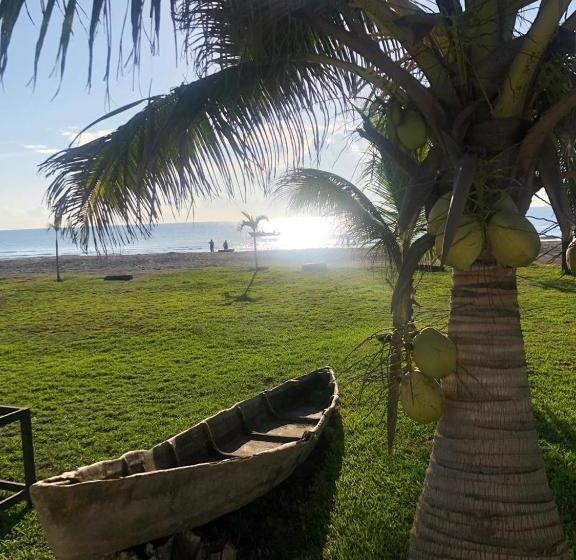 فندق Arrecife Chachalacas