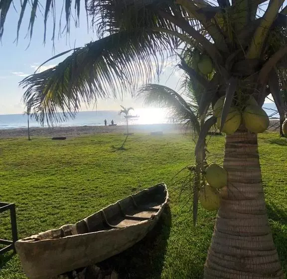ホテル Arrecife Chachalacas