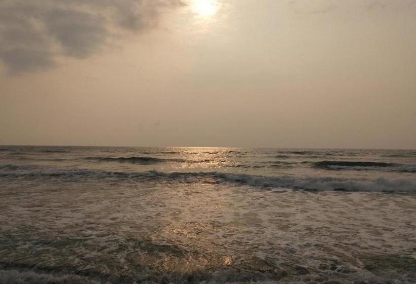 فندق Arrecife Chachalacas