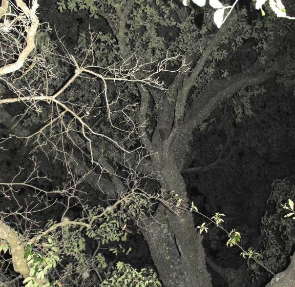 ホテル Bella Vista