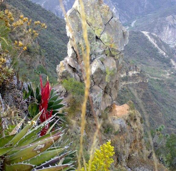 ホテル Bella Vista