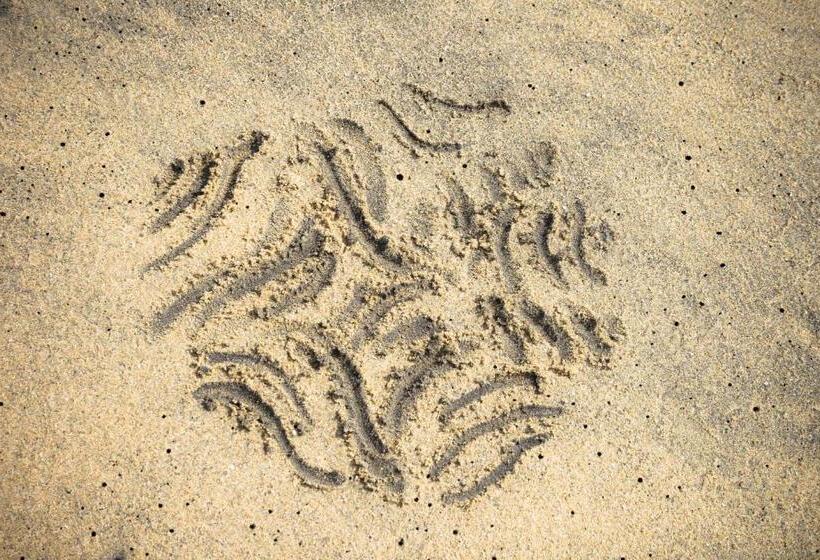 ホテル Estrella De Mar