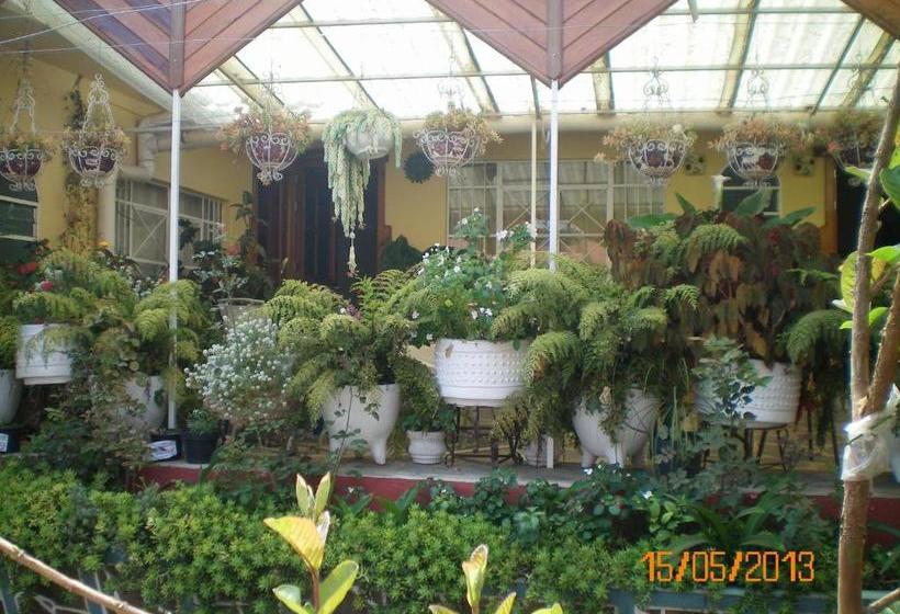 فندق Habitaciones Betito