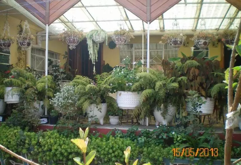 ホテル Habitaciones Betito