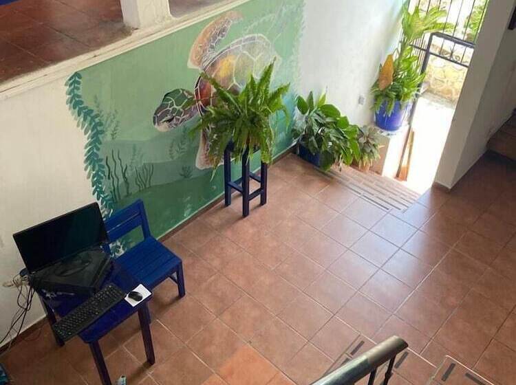 فندق & Hostal Mayflower