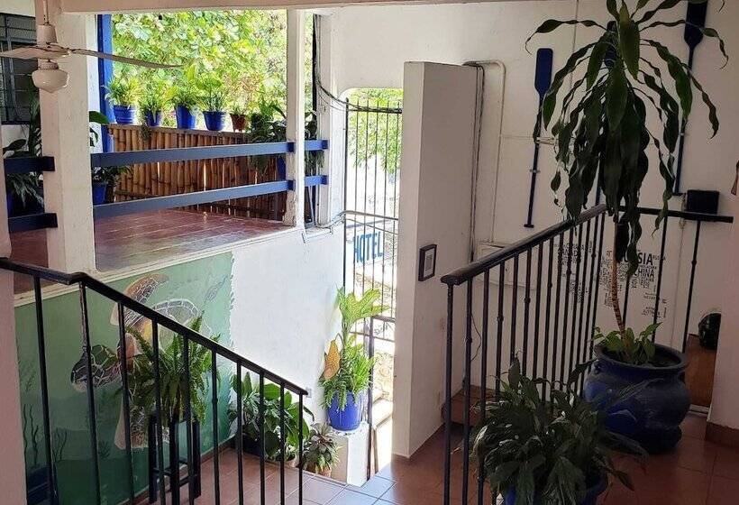 فندق & Hostal Mayflower