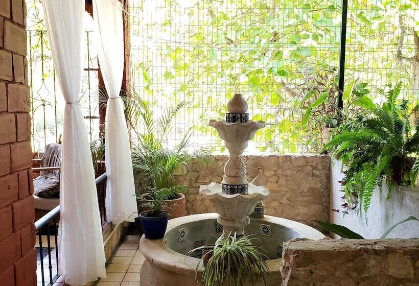 فندق & Hostal Mayflower