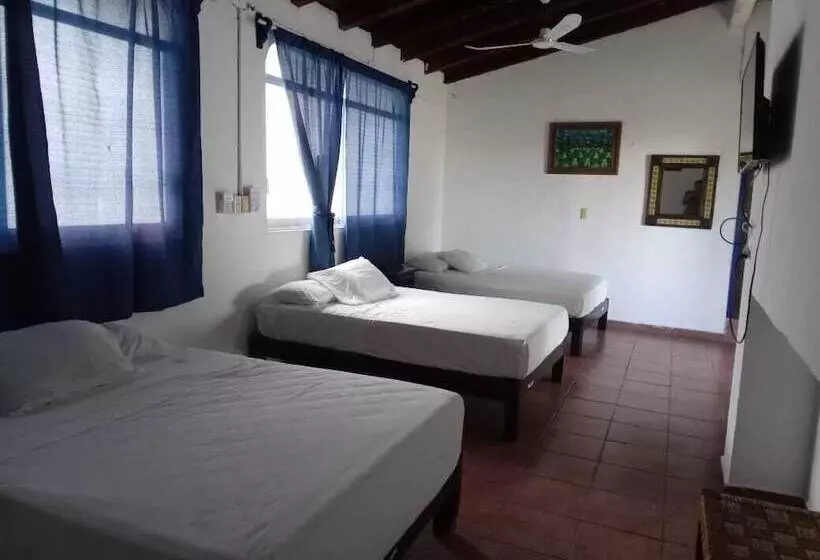 هتل & Hostal Mayflower