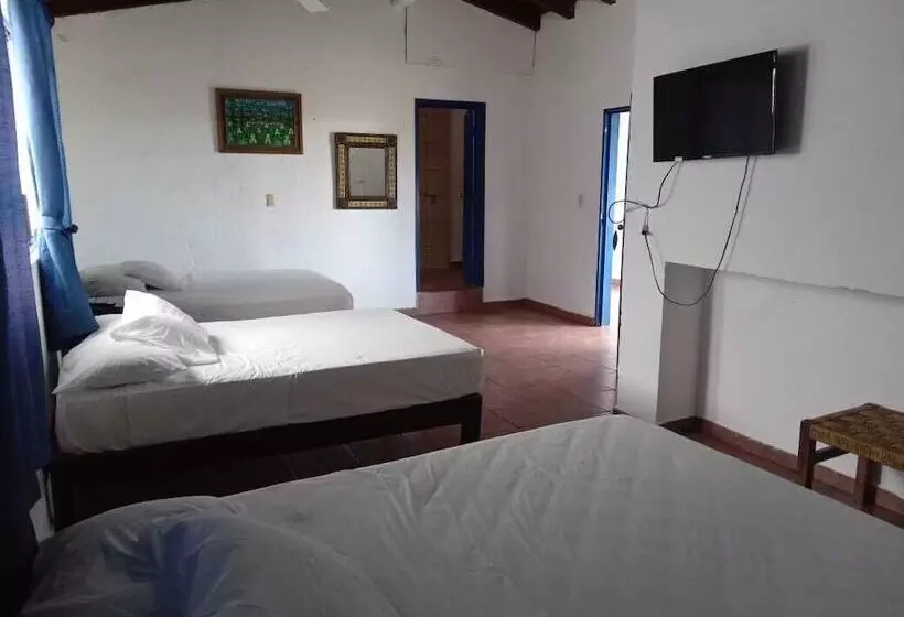 هتل & Hostal Mayflower