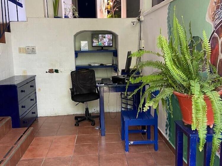 فندق & Hostal Mayflower