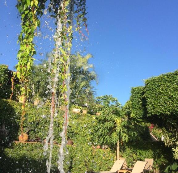 فندق La Casa Del Guamúchil