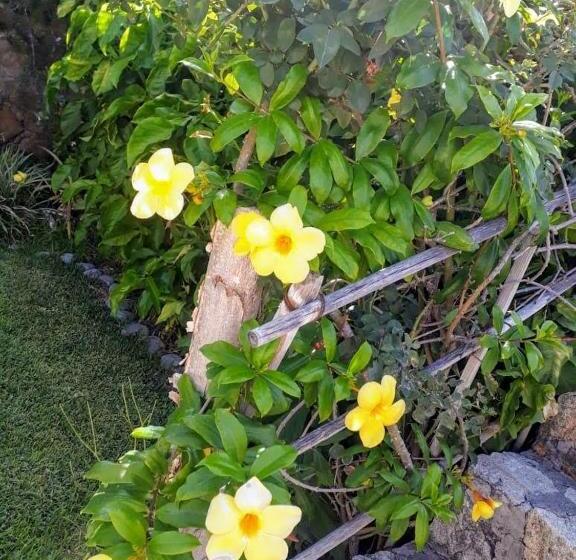 فندق La Casa Del Guamúchil