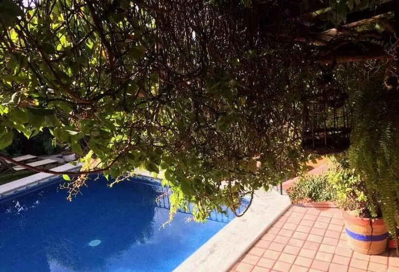 ホテル La Casa Del Guamúchil