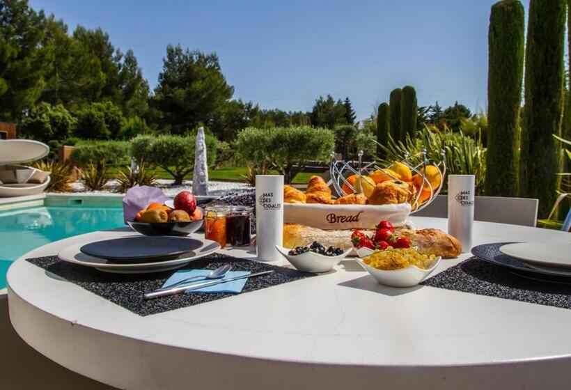 酒店 Mas Des Cigales