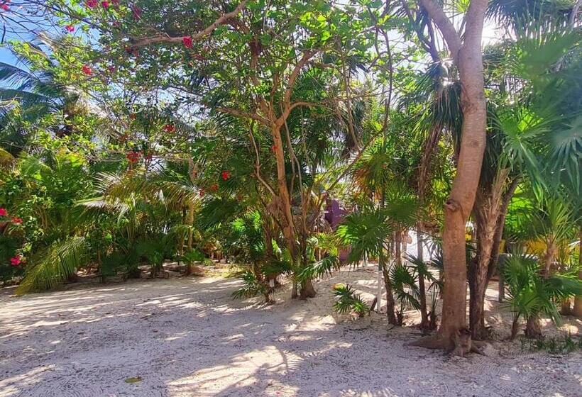 Hotelli Maya Luna Adults Only