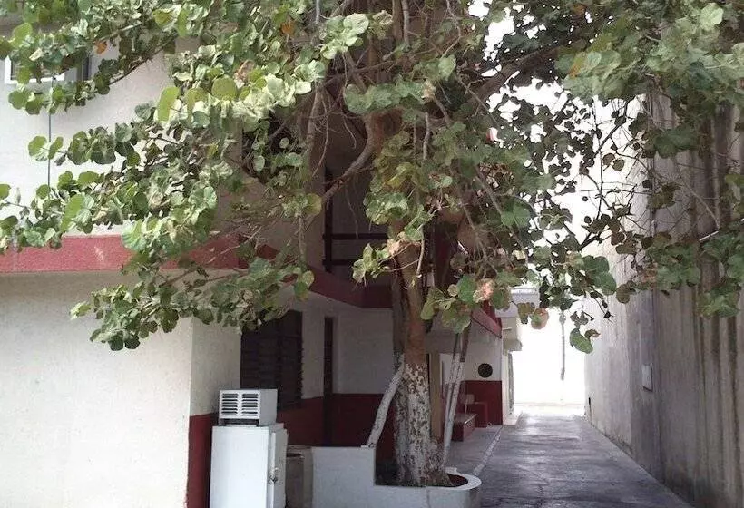 هتل Safari Inn