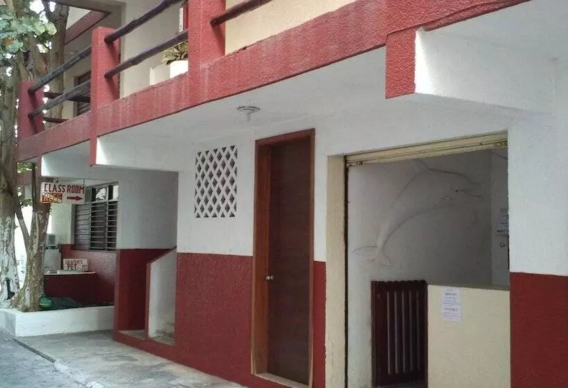 هتل Safari Inn