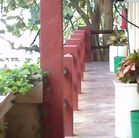 هتل Safari Inn