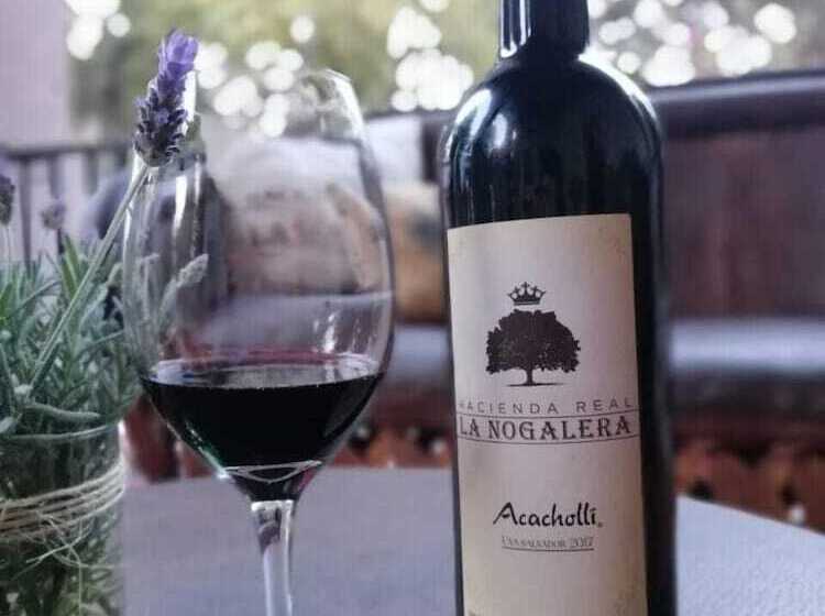 ホテル Spa Hacienda Real La Nogalera