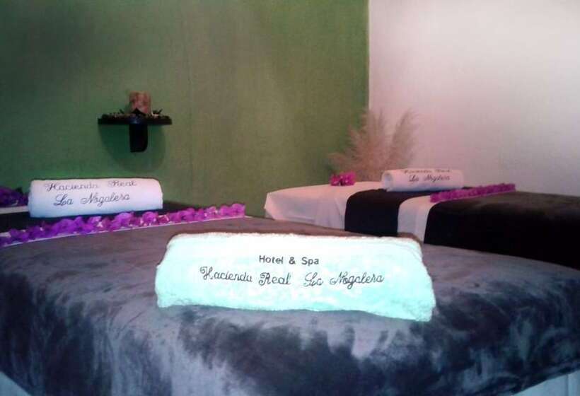 ホテル Spa Hacienda Real La Nogalera