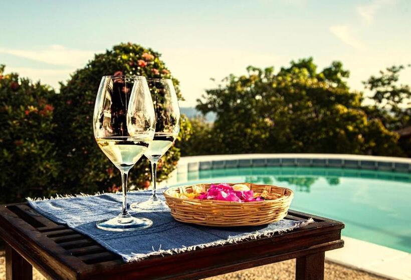 ホテル Villas Mykonos