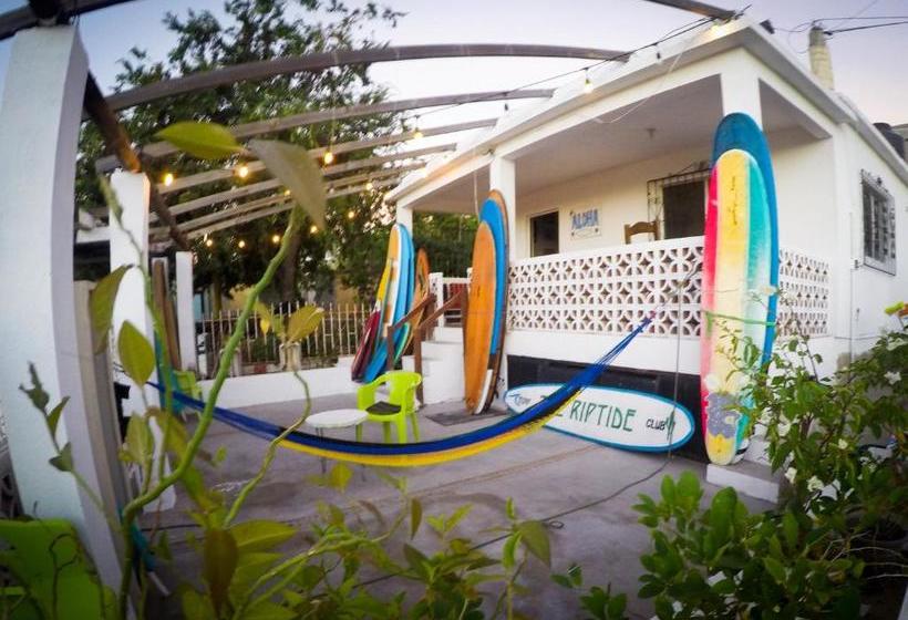 Surf Hostel Cabo The Riptide