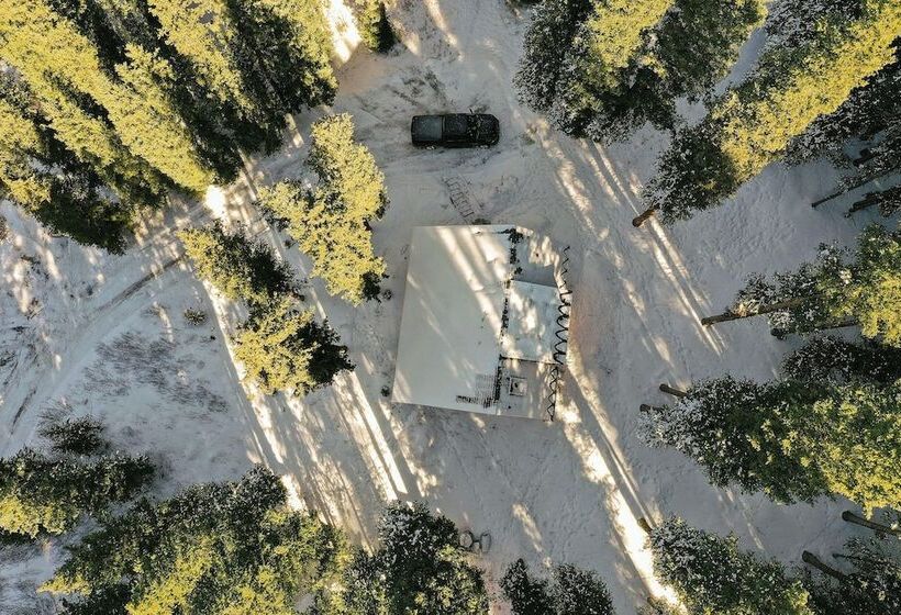 Secluded Rustic Mountain Retreat W/ Updated Touch