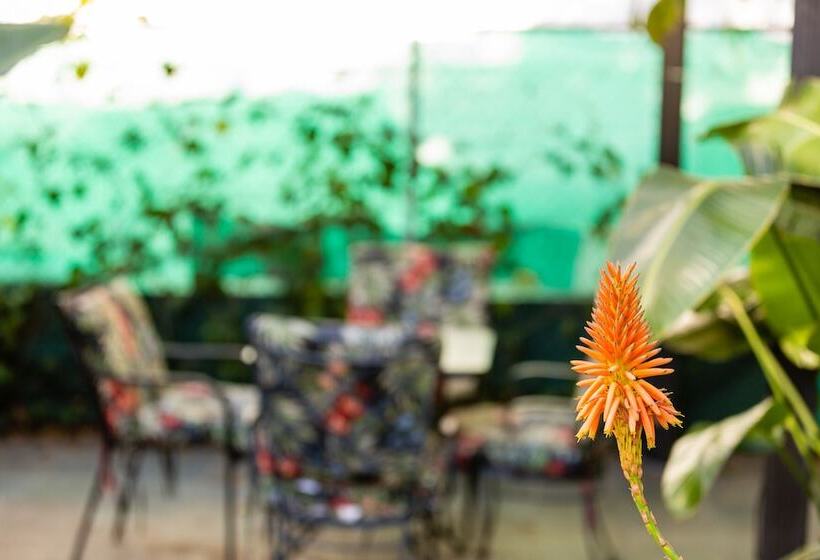 ペンション Hollywood Hills Suites