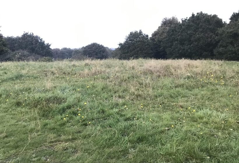 إقامة Georgian House In Billericay   Quirky & Homely