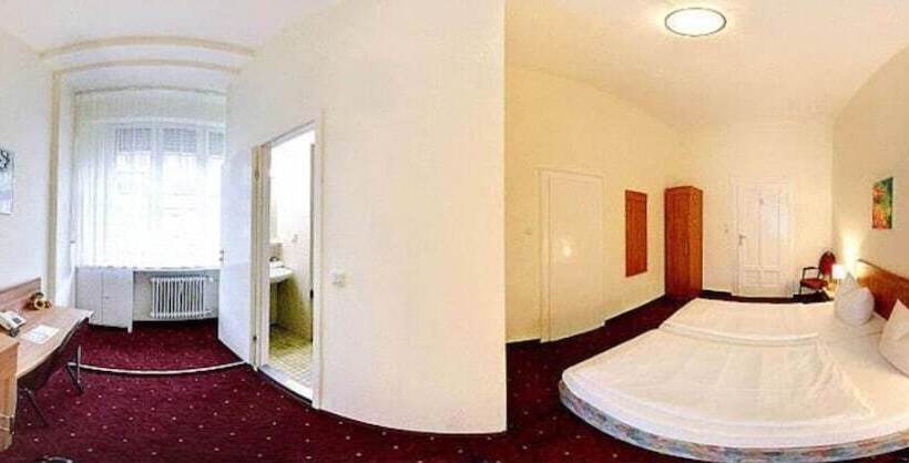 هاستل Continental