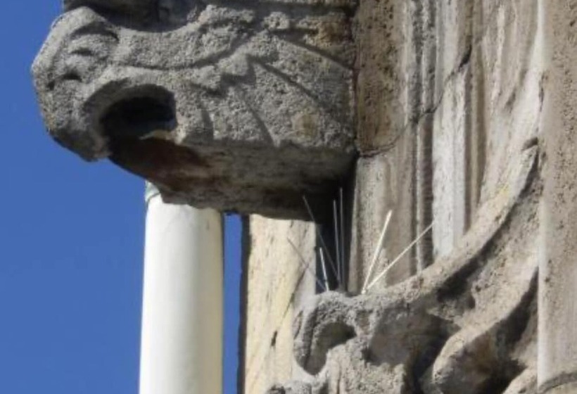 هاستل Continental