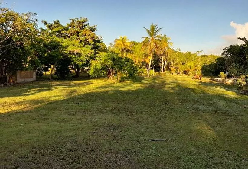 Paradise Creek Cottages