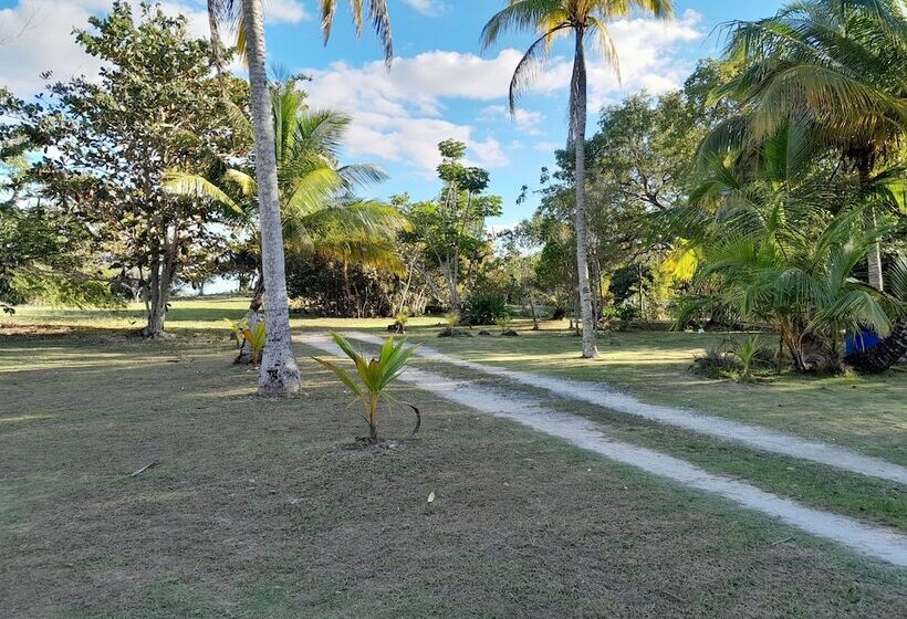 Paradise Creek Cottages