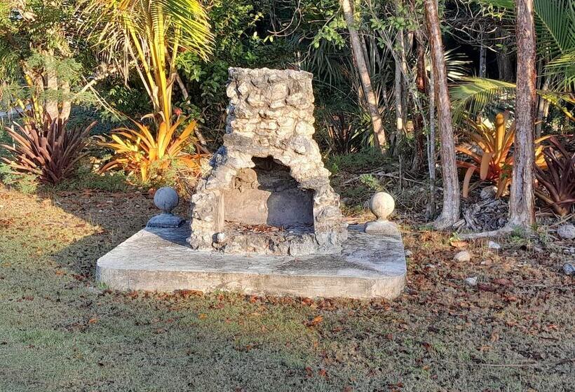 Paradise Creek Cottages