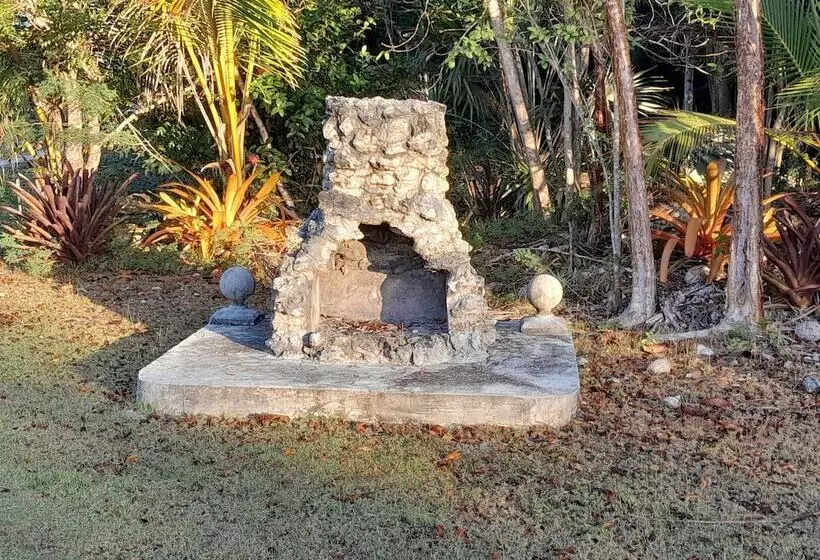 Paradise Creek Cottages